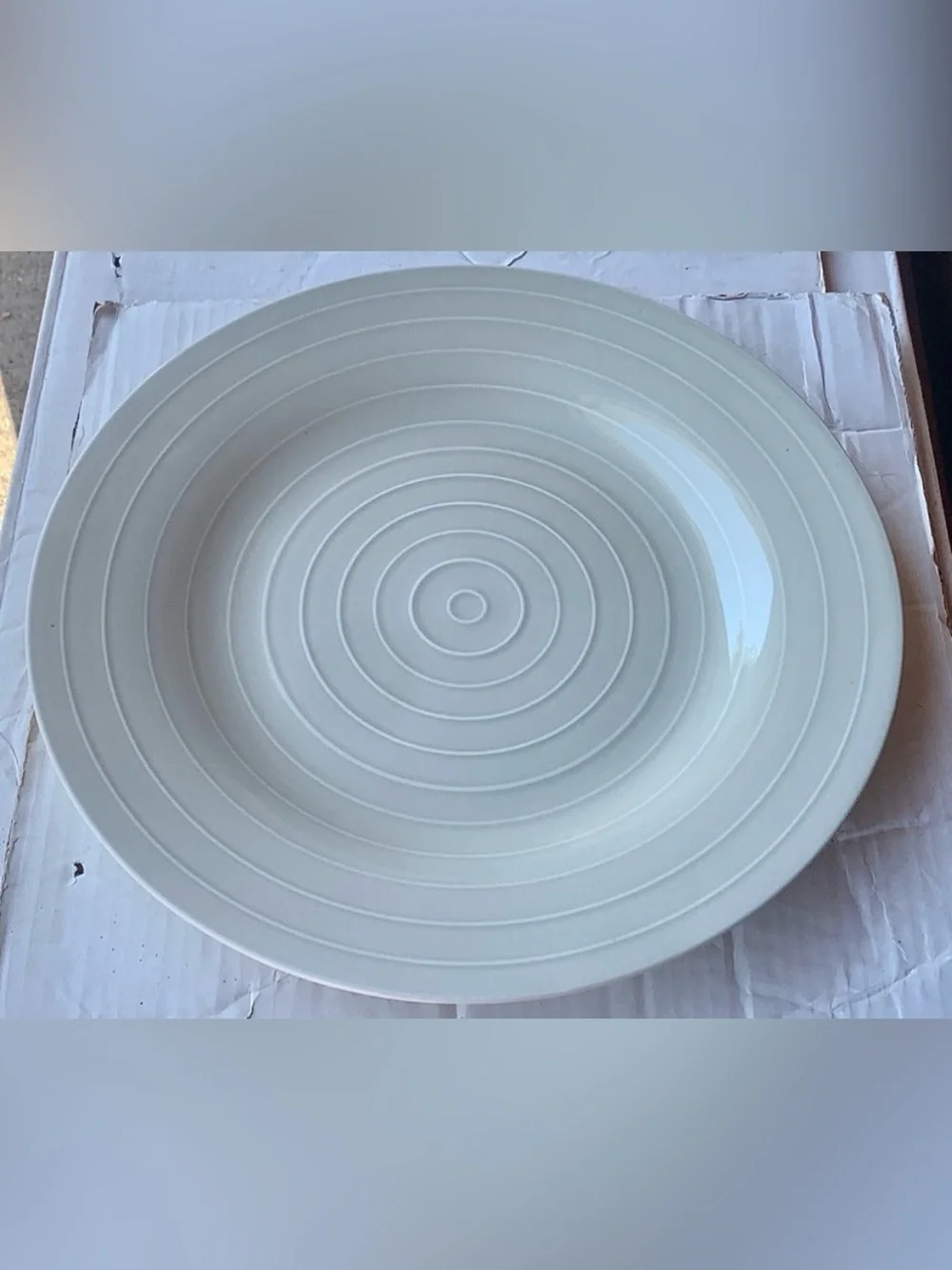 Anna Nilsson IKEA 365 Beige Taupe Concentric Ringed 12.75” Plate